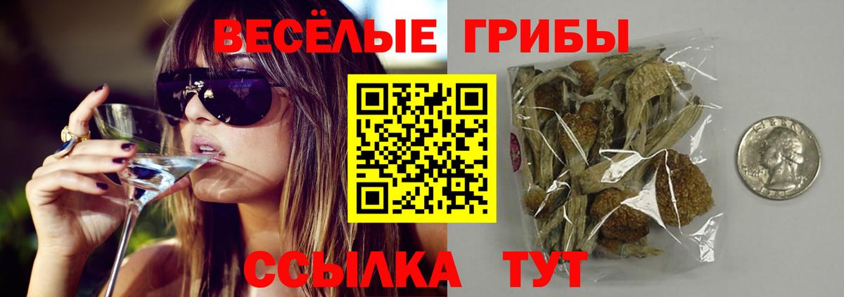 Галлюциногенные грибы Psilocybe  Вход с VPN  Медногорск 